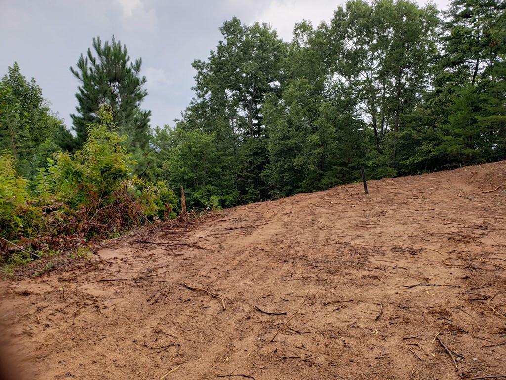 26 Kalanu Trail Property Photo 12