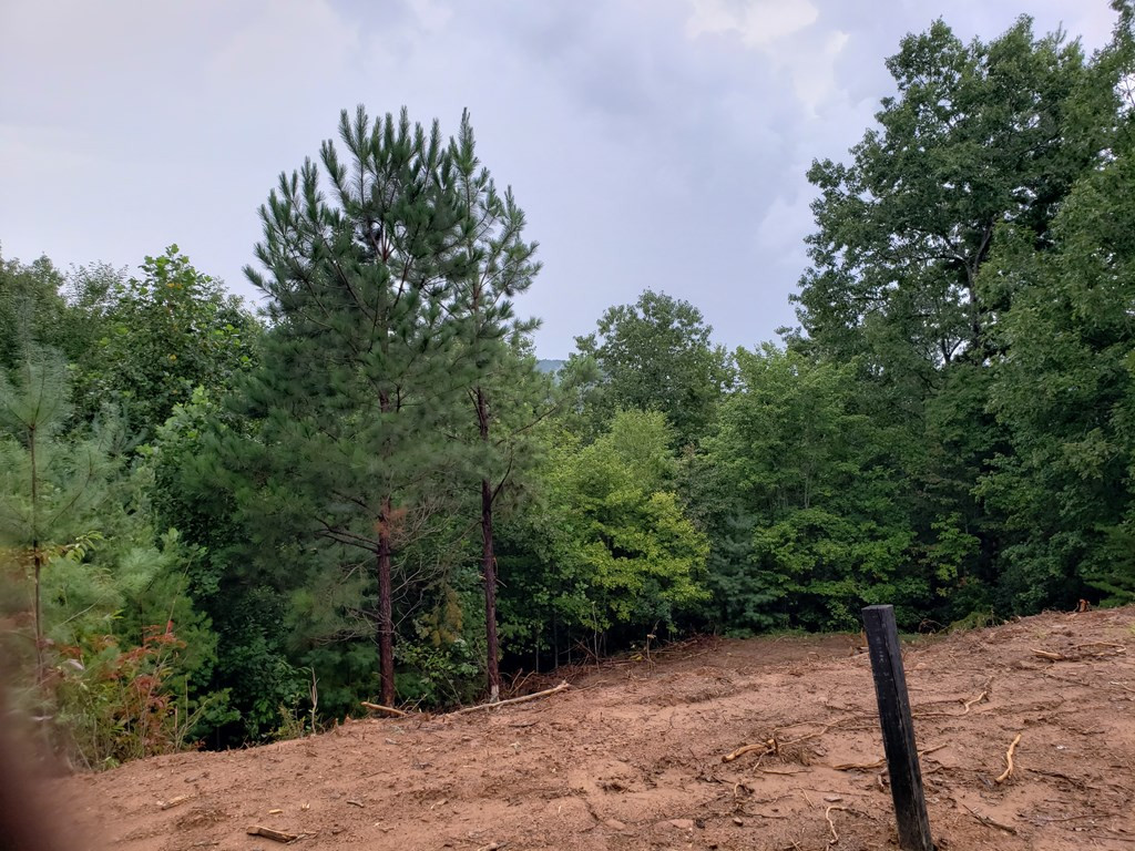 26 Kalanu Trail Property Photo 15