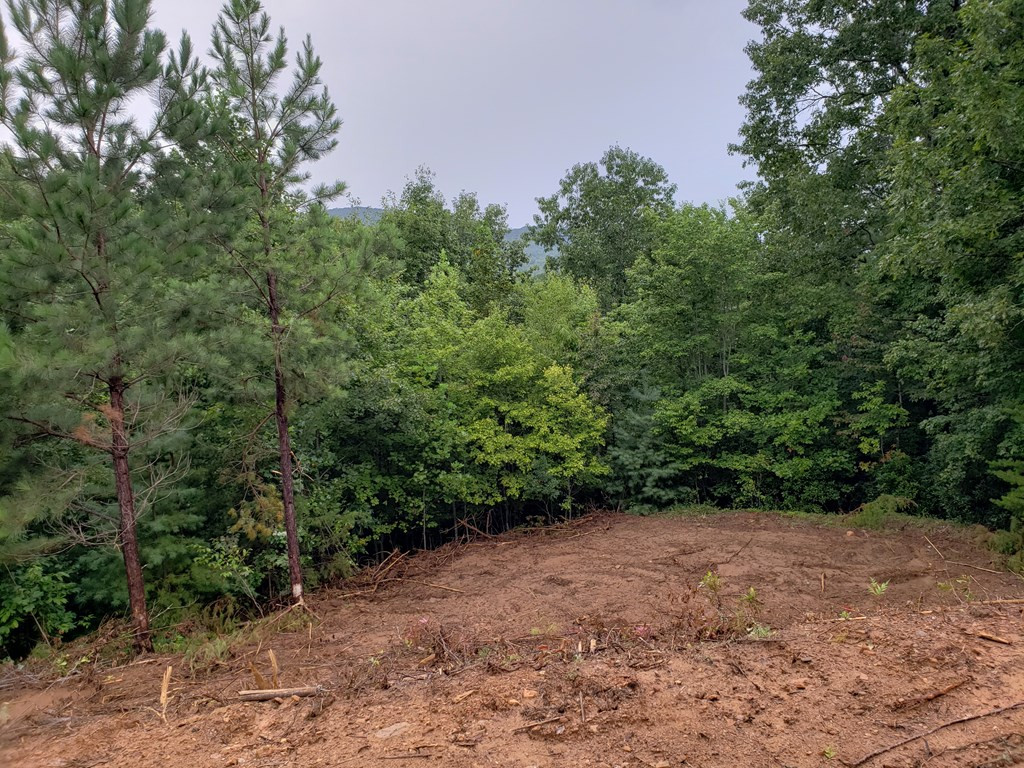 26 Kalanu Trail Property Photo 17