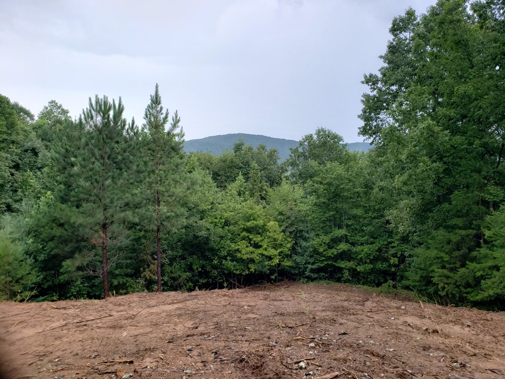 26 Kalanu Trail Property Photo 18