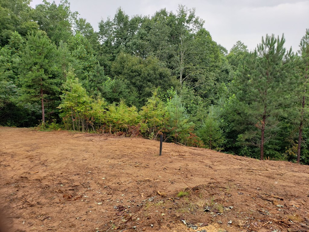 26 Kalanu Trail Property Photo 20