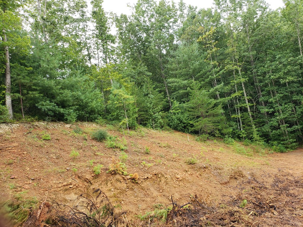 26 Kalanu Trail Property Photo 22