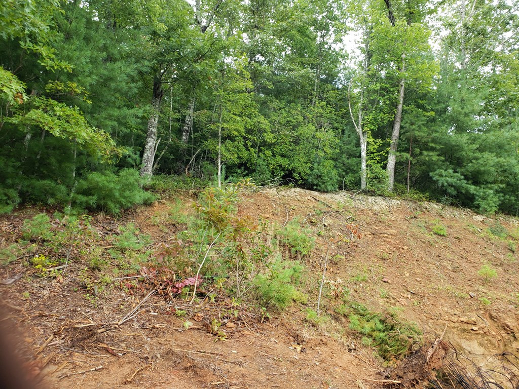 26 Kalanu Trail Property Photo 24