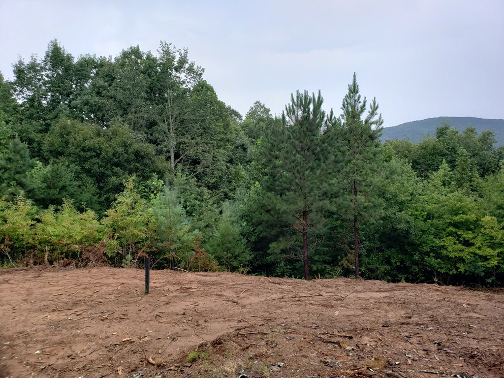 26 Kalanu Trail Property Photo 25