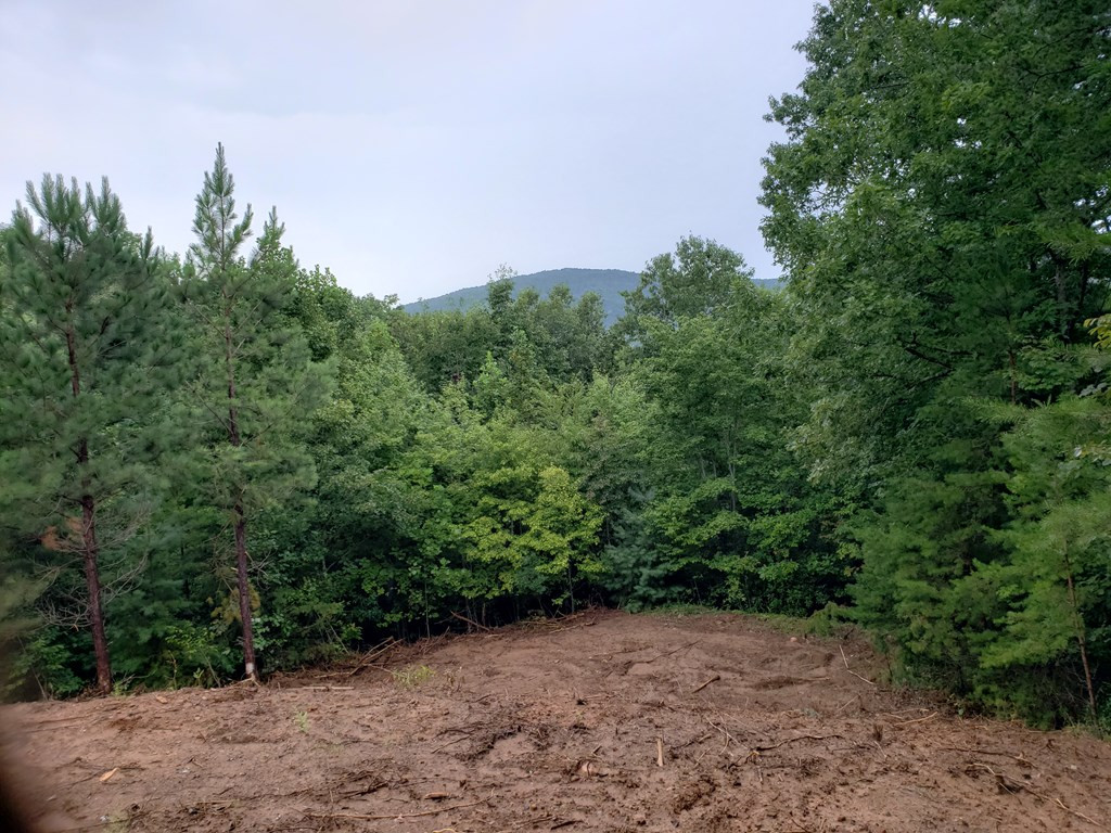 26 Kalanu Trail Property Photo 26