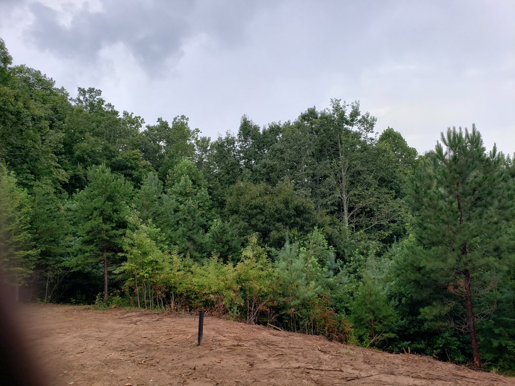 26 Kalanu Trail Property Photo 28
