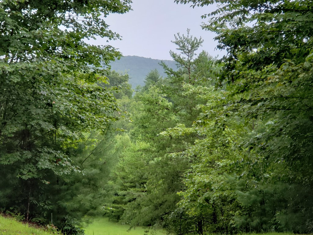 37 Toccoa Lane Property Photo 4