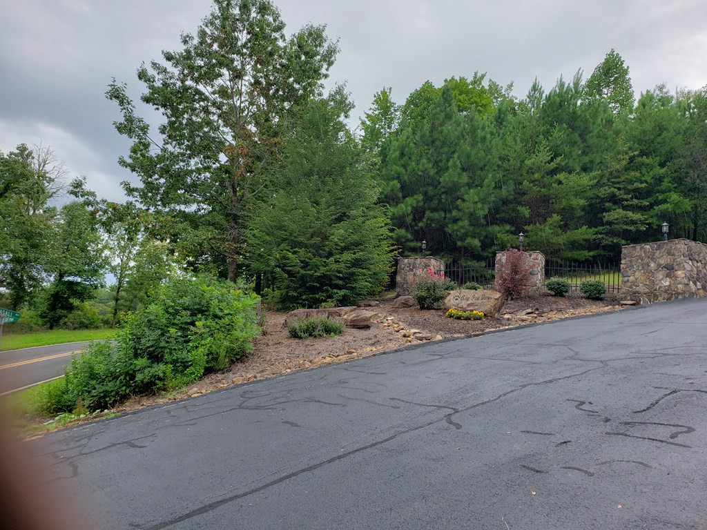37 Toccoa Lane Property Photo 7