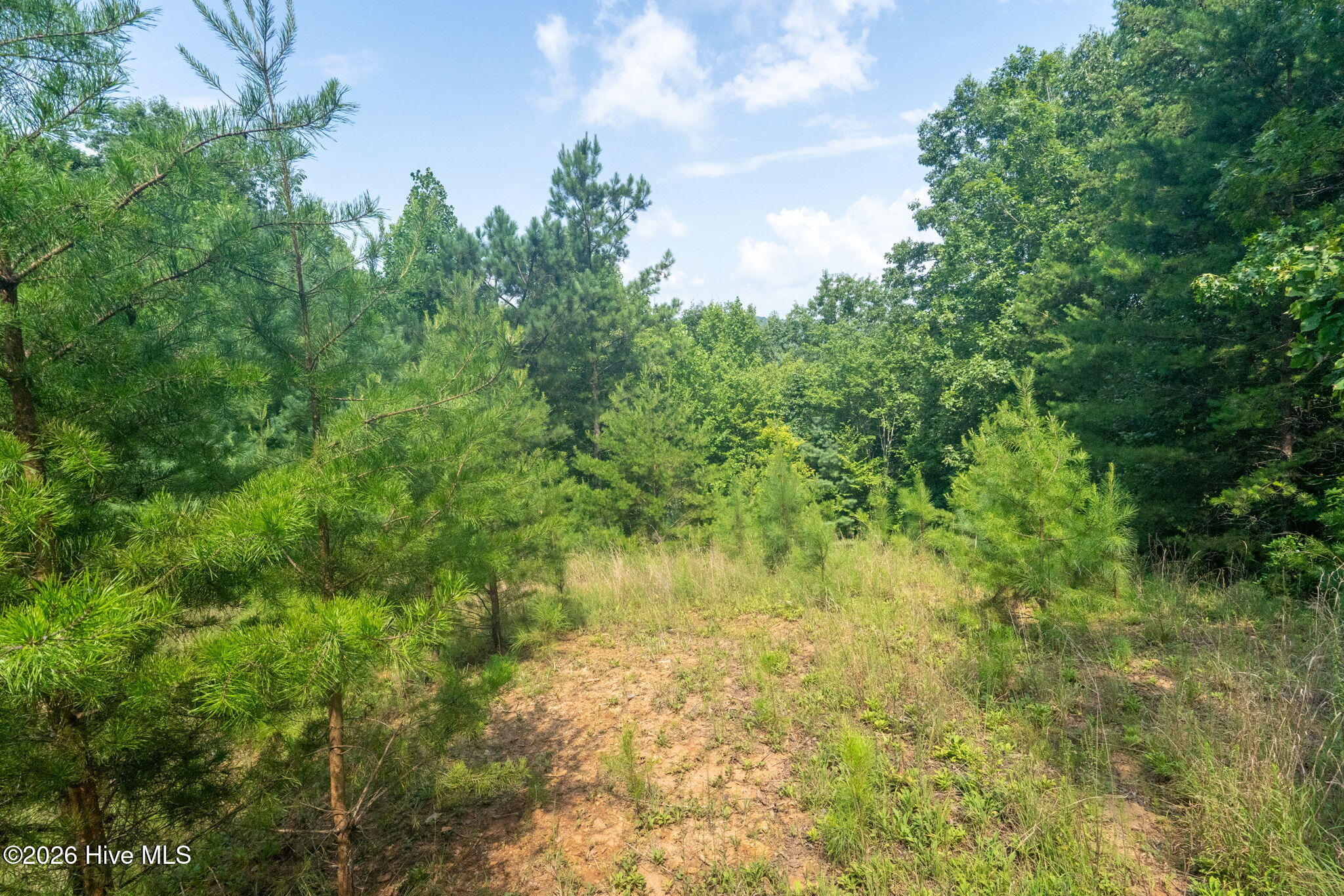 37 Toccoa Lane Property Photo 11