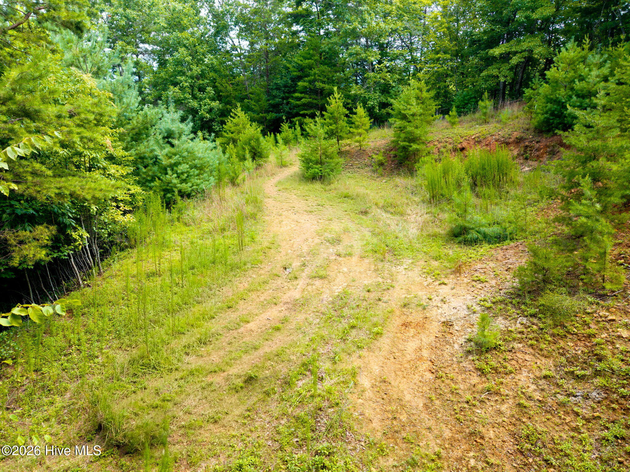 37 Toccoa Lane Property Photo 13
