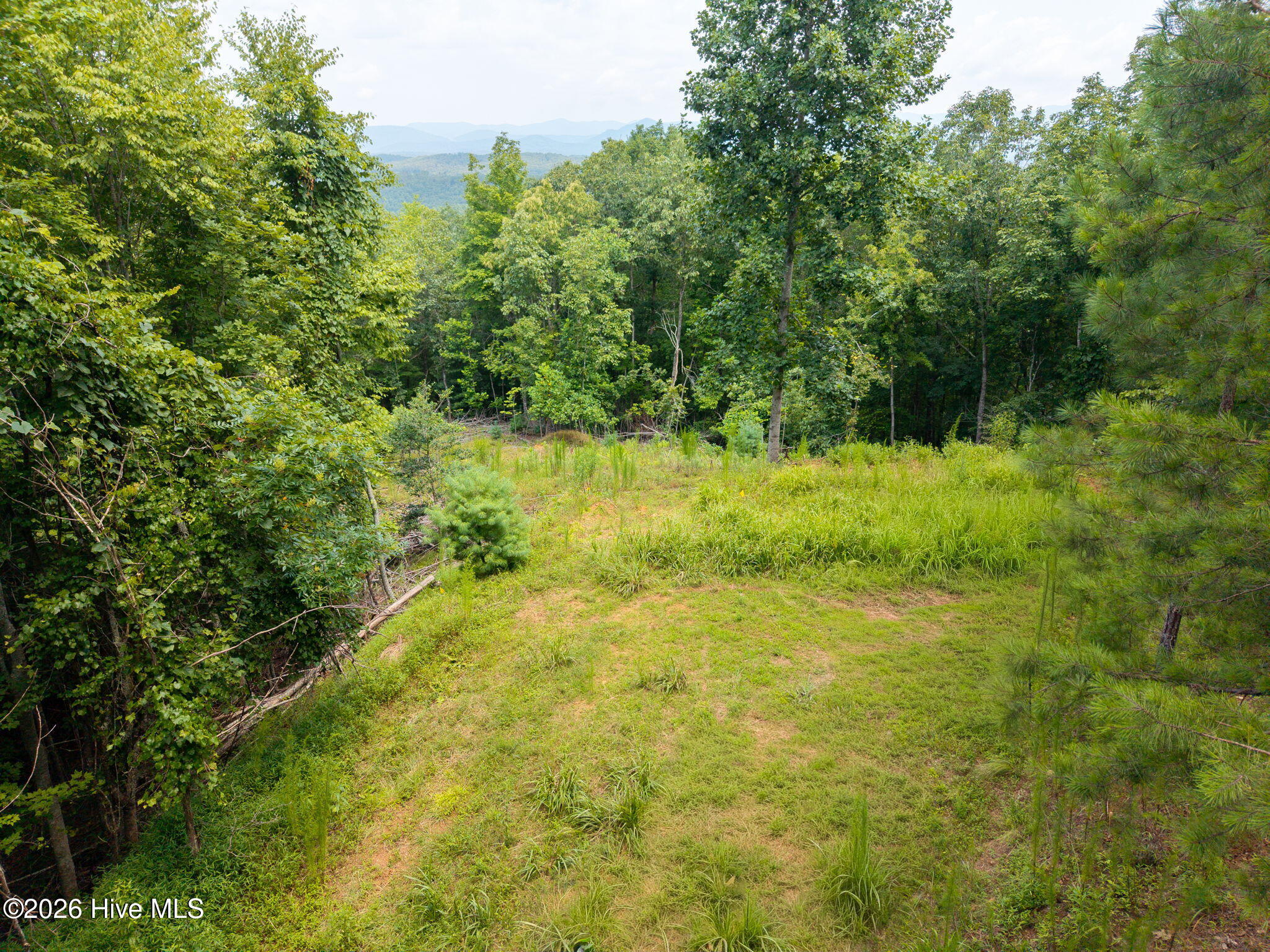 37 Toccoa Lane Property Photo 14