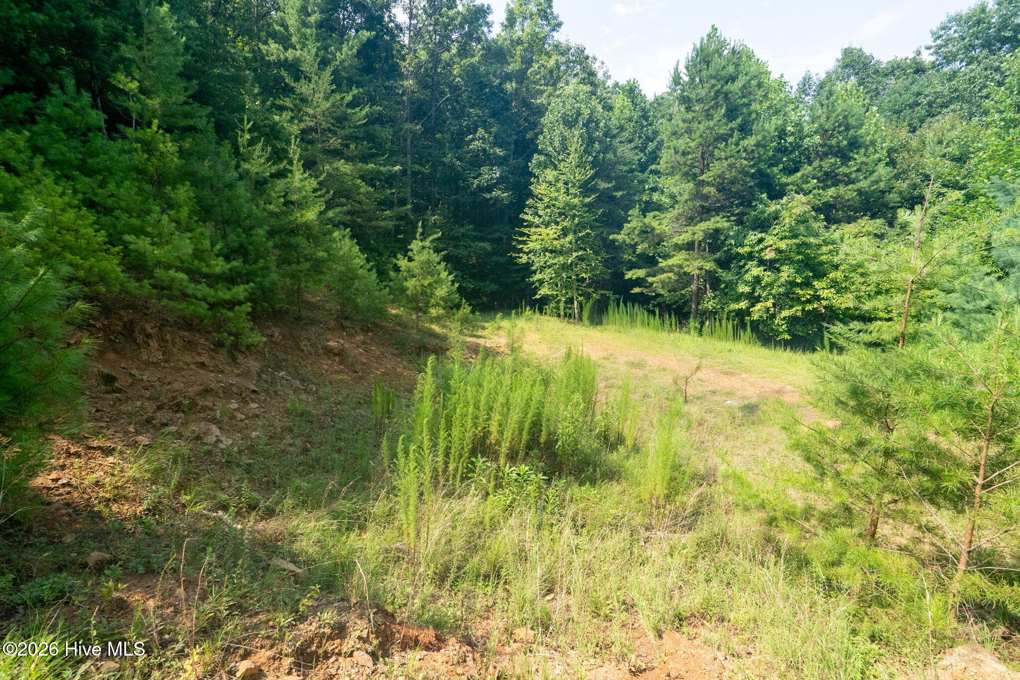 37 Toccoa Lane Property Photo 15