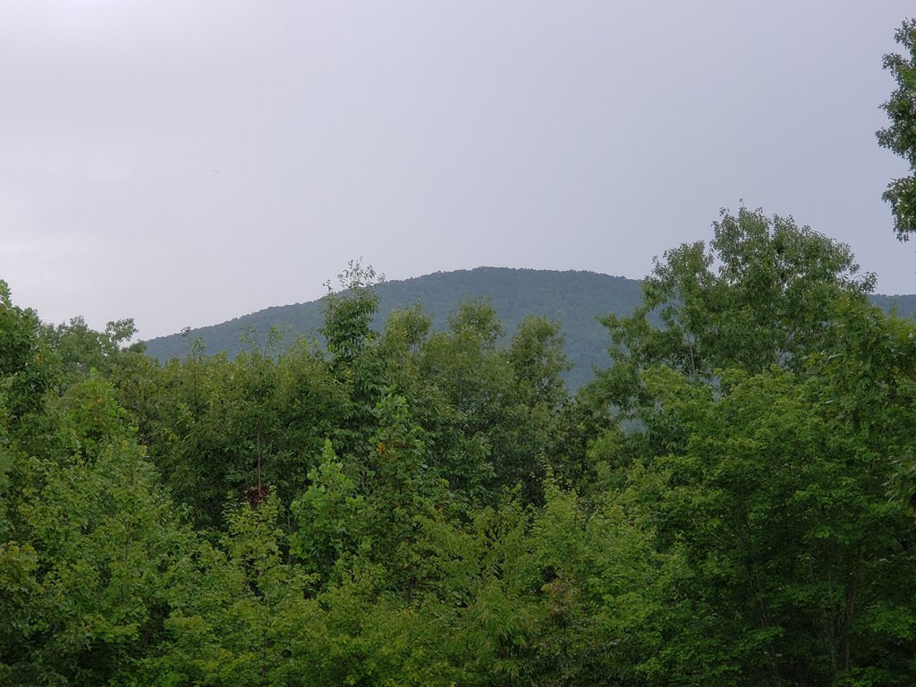 37 Toccoa Lane Property Photo 17