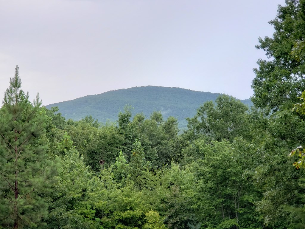 37 Toccoa Lane Property Photo 18