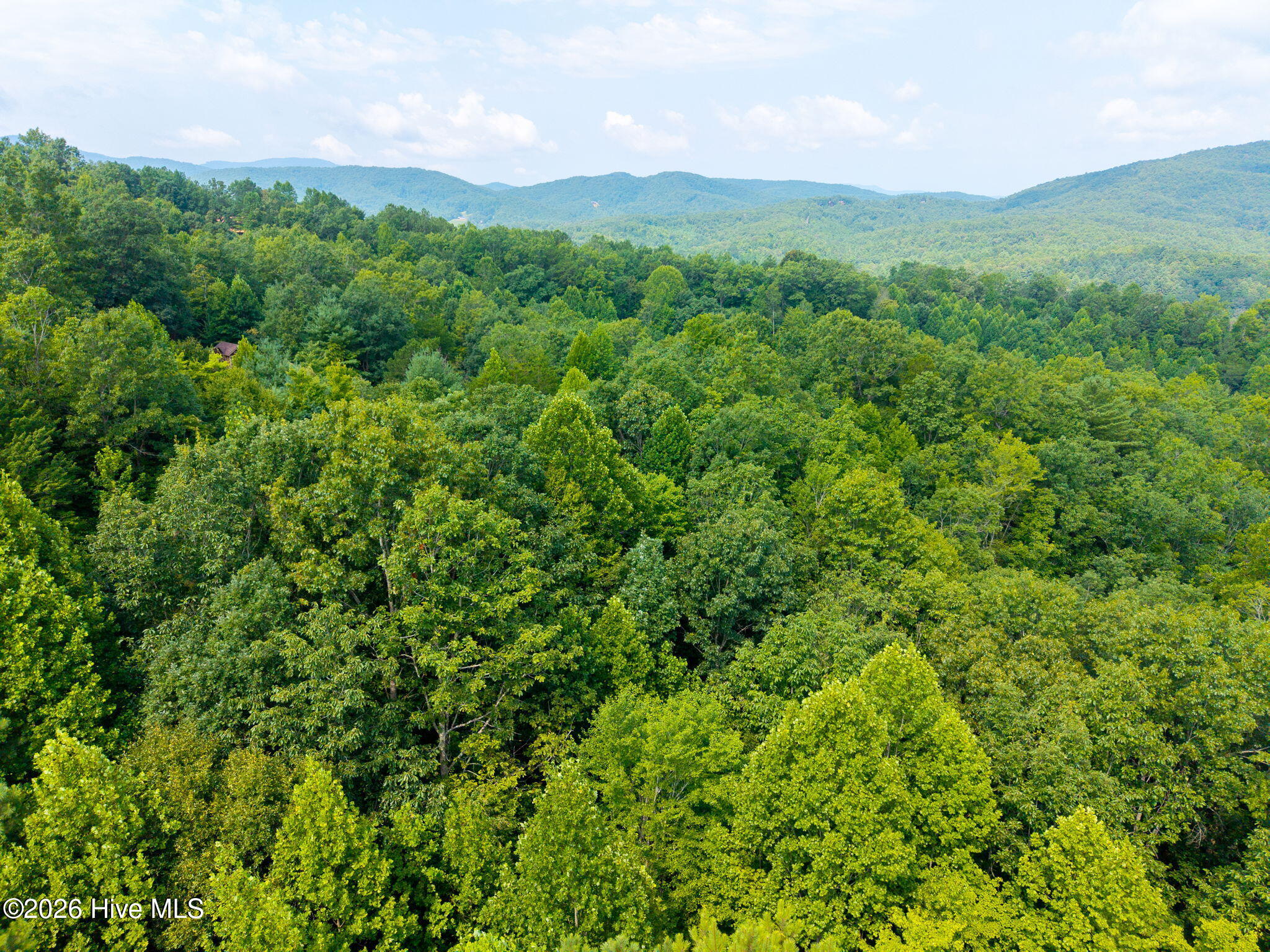 37 Toccoa Lane Property Photo 33