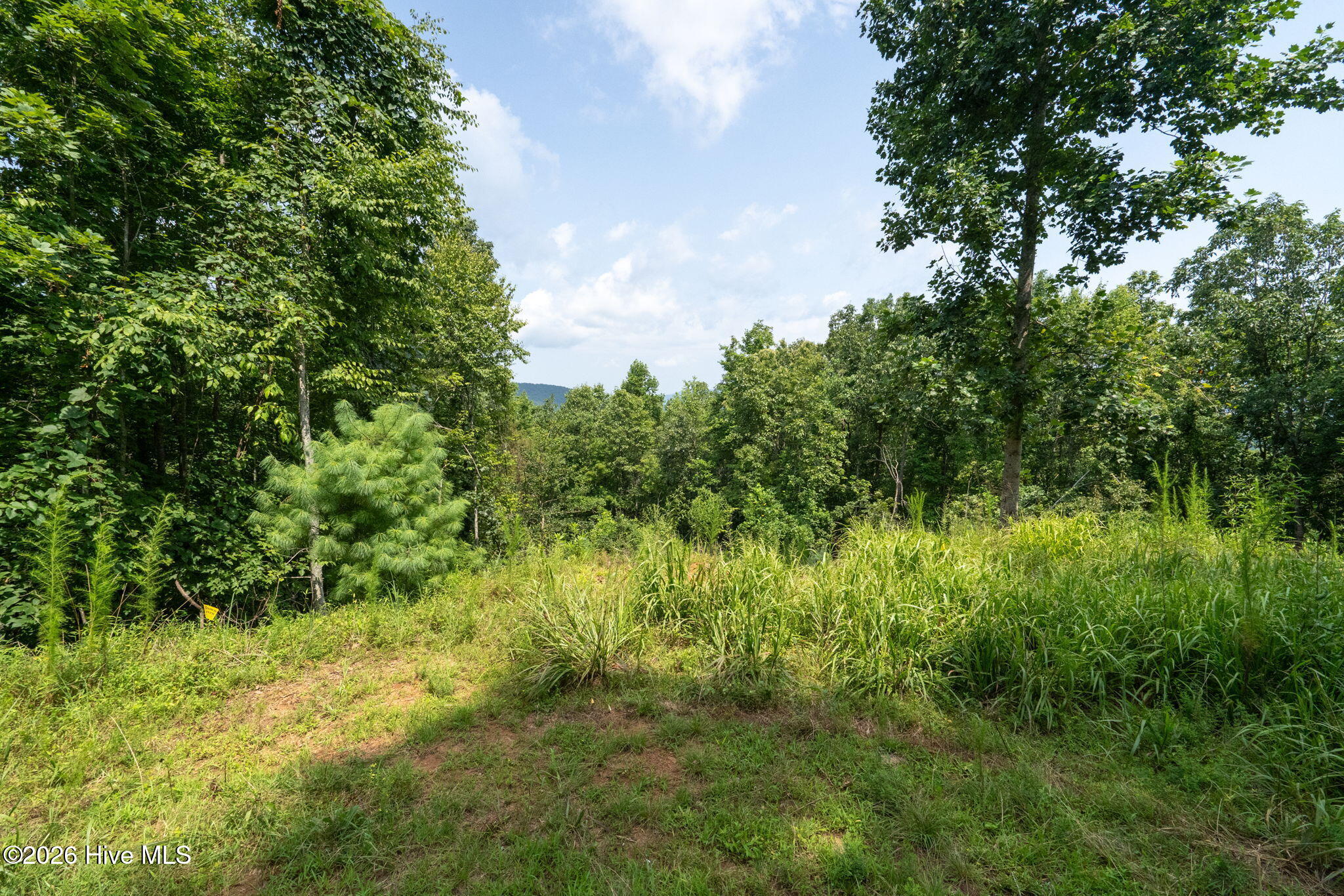 37 Toccoa Lane Property Photo 38