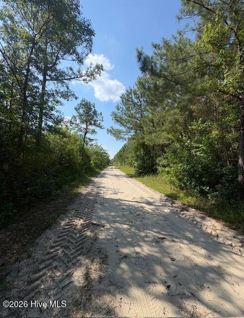 0 Near 8944 Chauncey Town Rd Property Photo 4