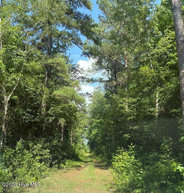 0 Near 8944 Chauncey Town Rd Property Photo 7
