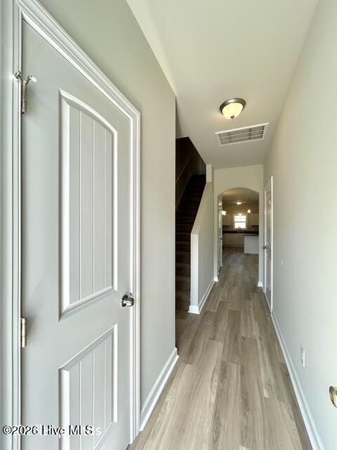101 Chestnut Hill Drive Property Photo 7