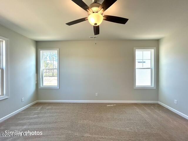 101 Chestnut Hill Drive Property Photo 29