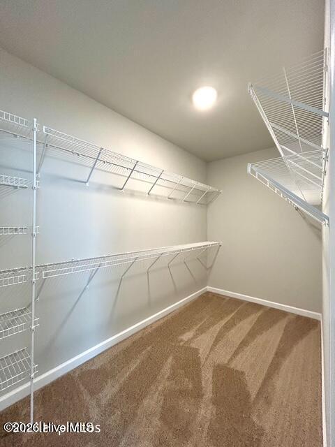 101 Chestnut Hill Drive Property Photo 35