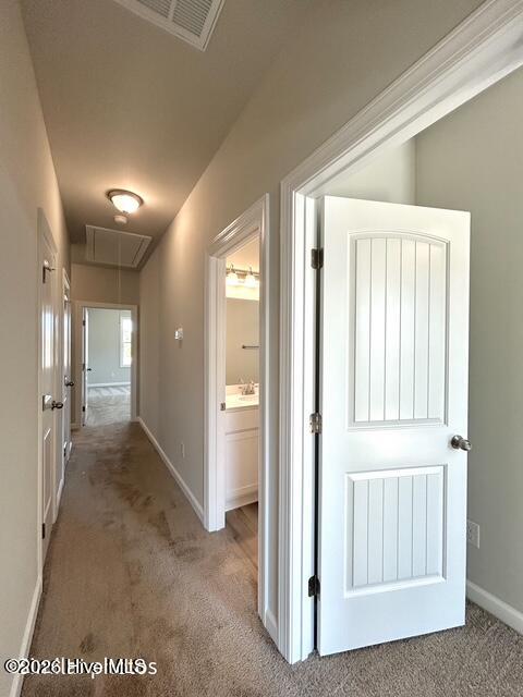 101 Chestnut Hill Drive Property Photo 39