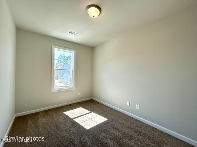101 Chestnut Hill Drive Property Photo 47