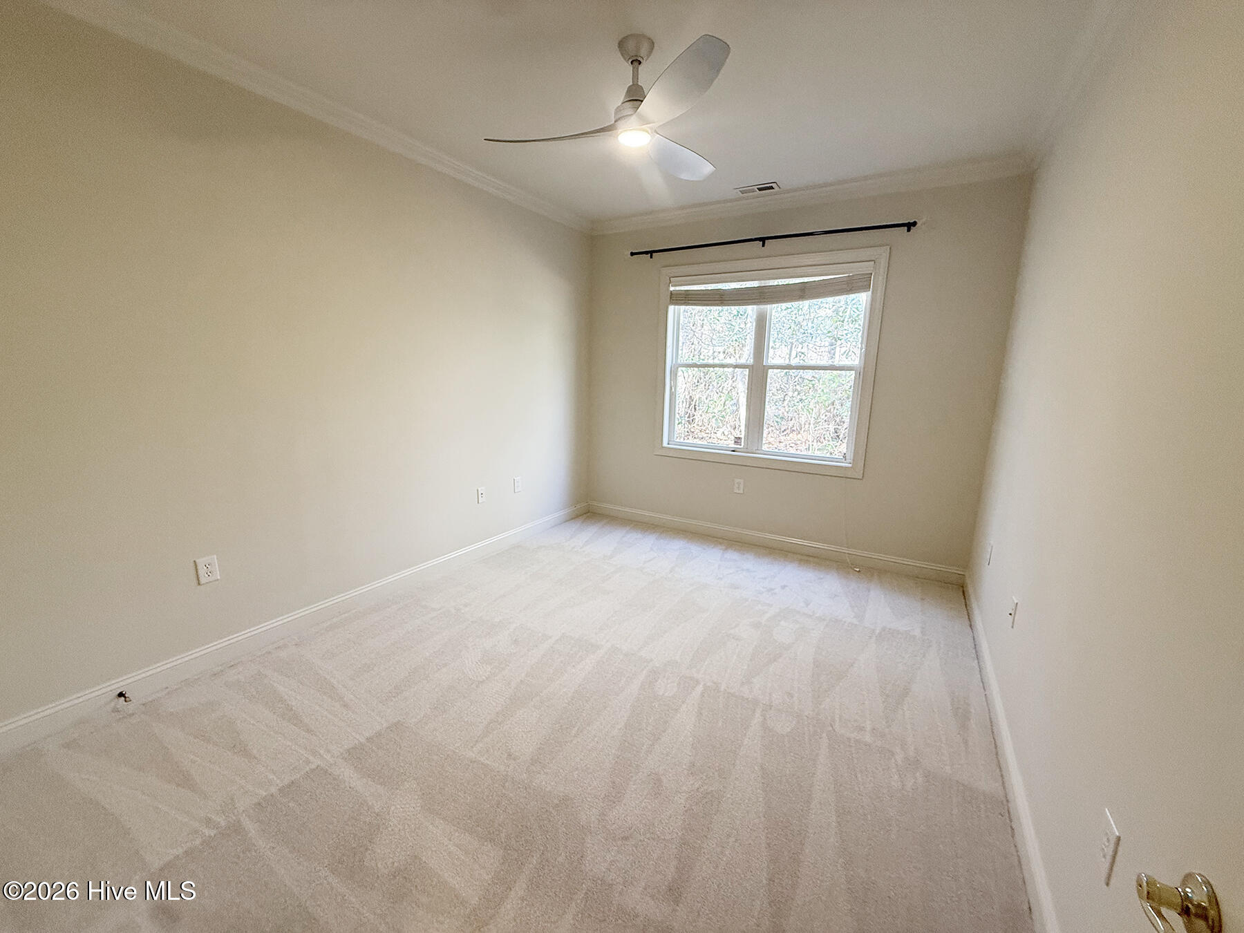 3714 Cain Court Property Photo 10