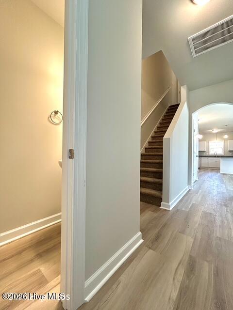 103 Chestnut Hill Drive Property Photo 10