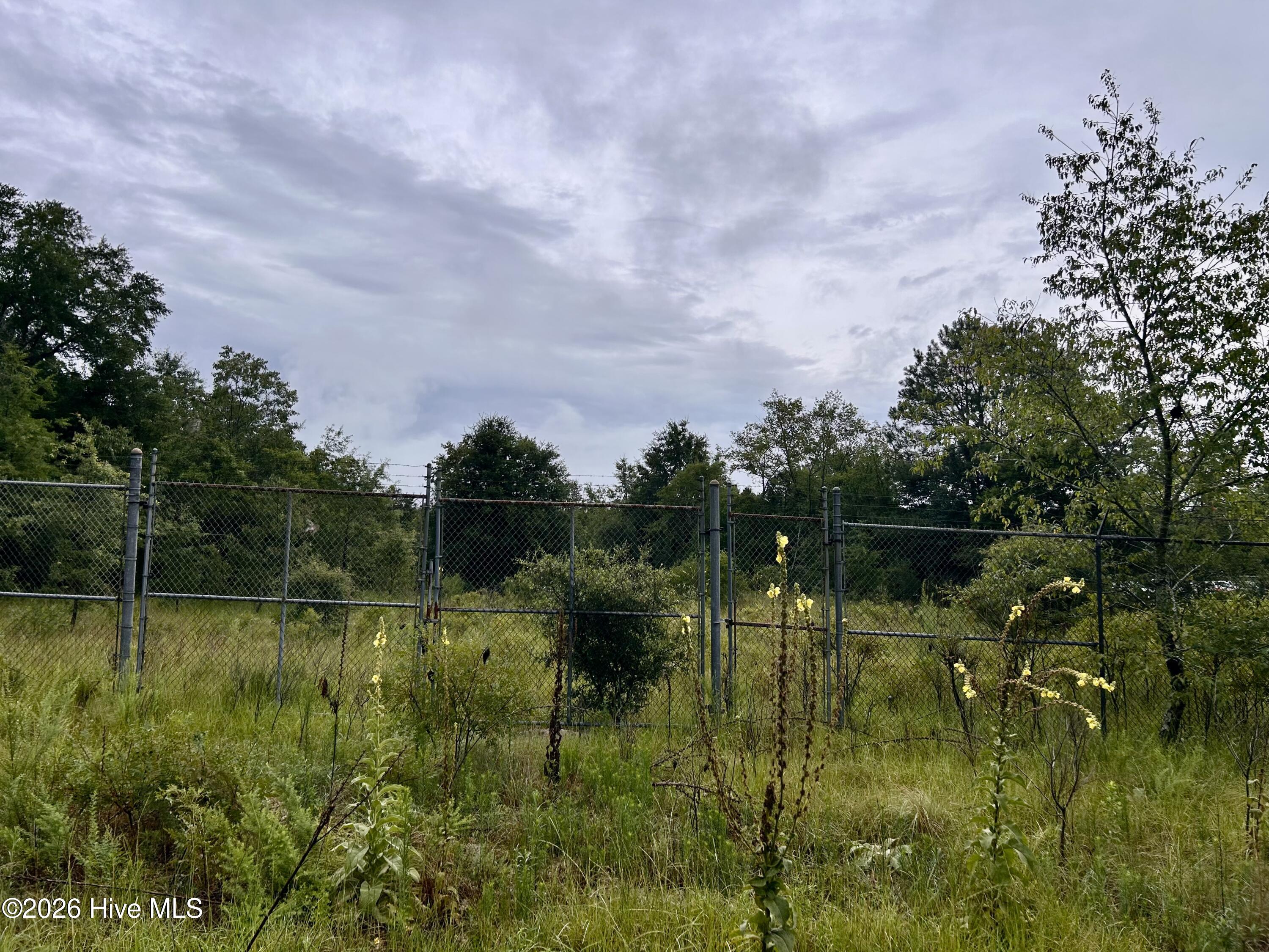 0 Carolina 381 Property Photo 2