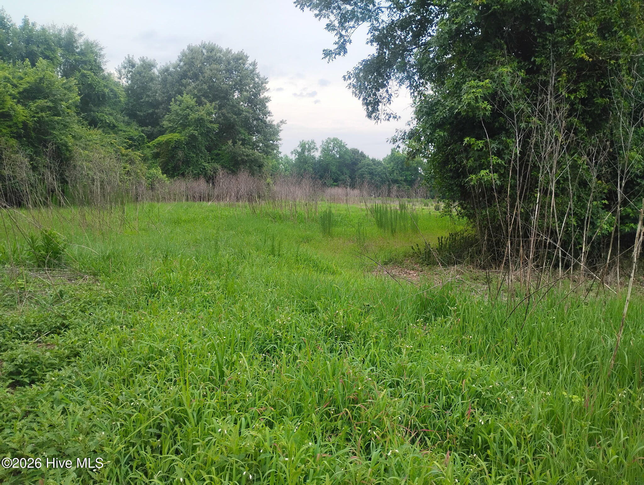 325 Brothers Lane Property Photo 2