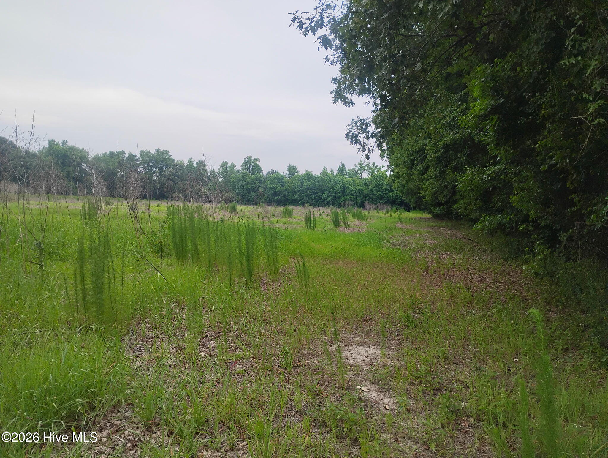 325 Brothers Lane Property Photo 4