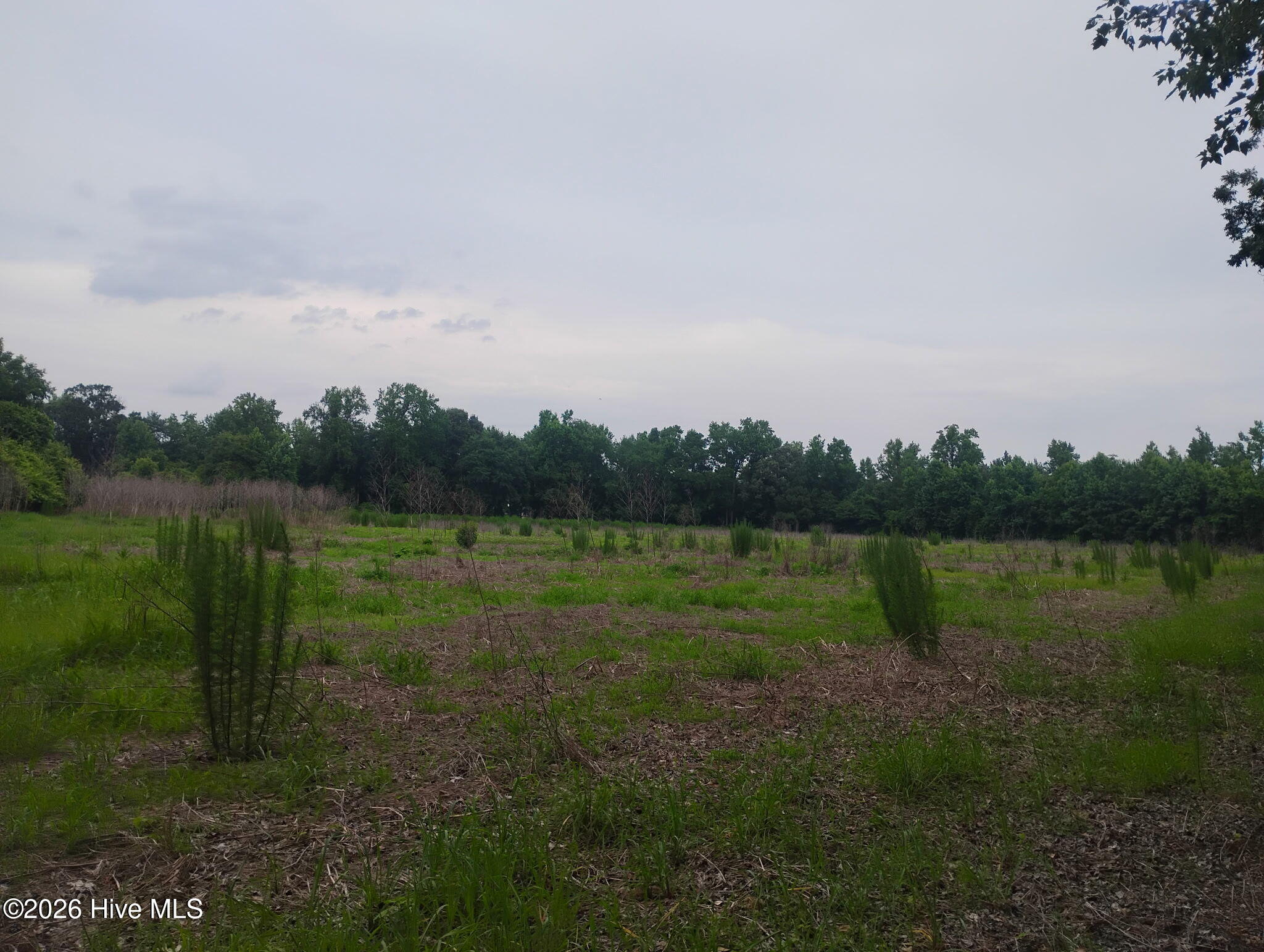 325 Brothers Lane Property Photo 5