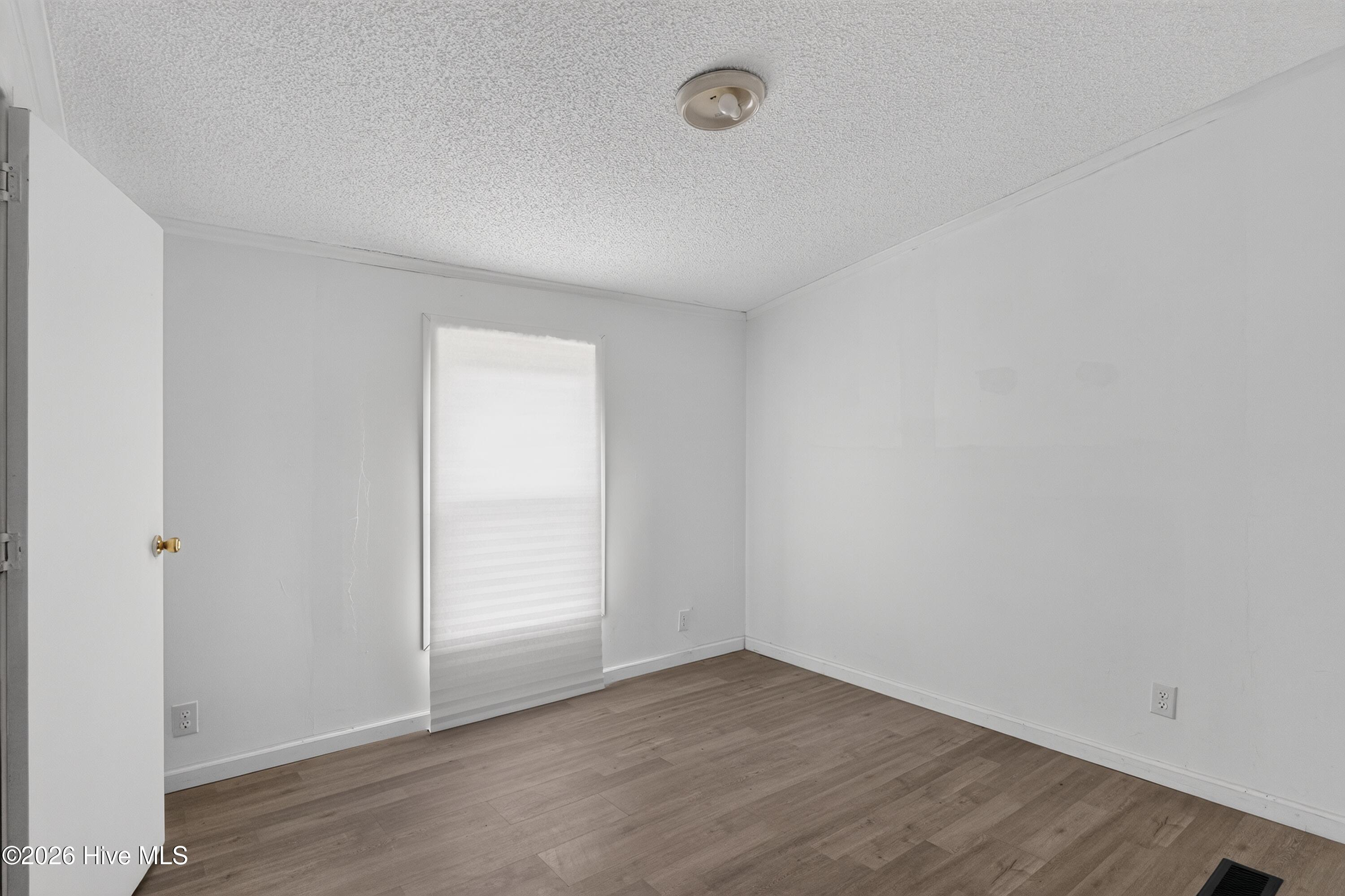 123 Hailey Ames Drive Property Photo 6