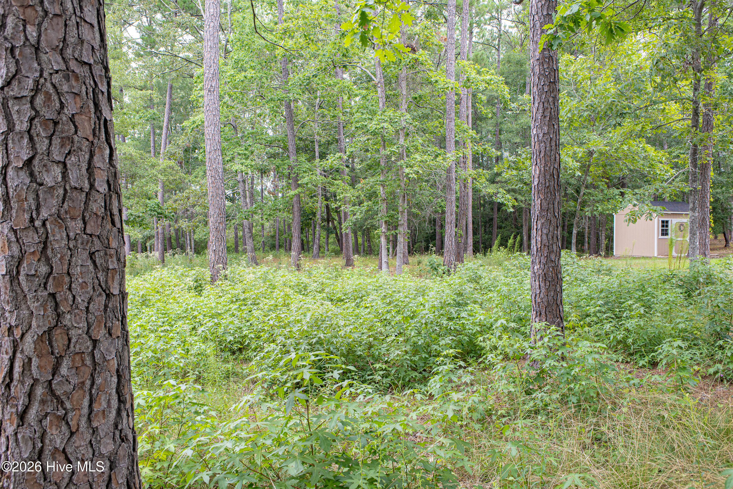 496 216 Hearthside Drive Se Property Photo 13