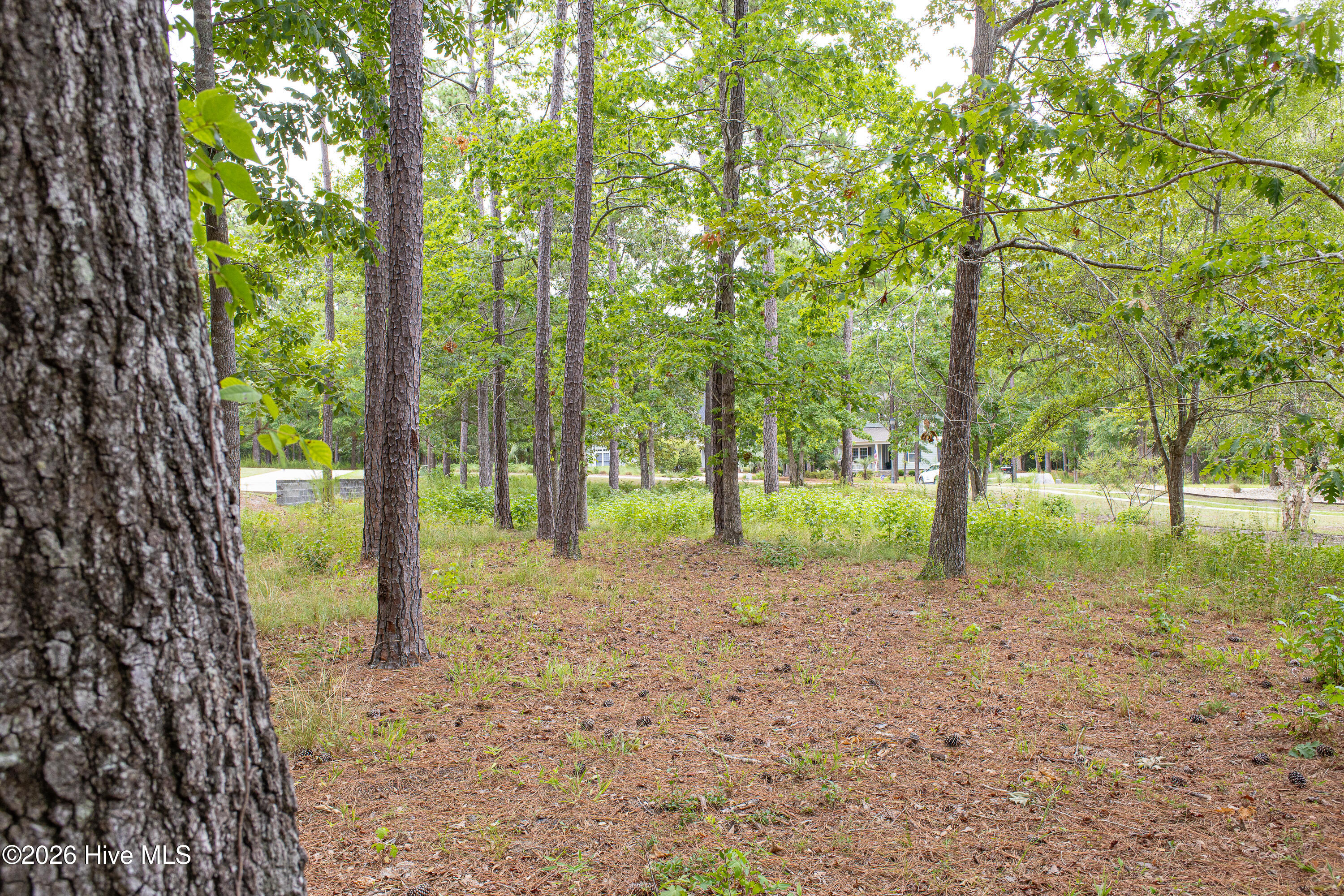496 216 Hearthside Drive Se Property Photo 14
