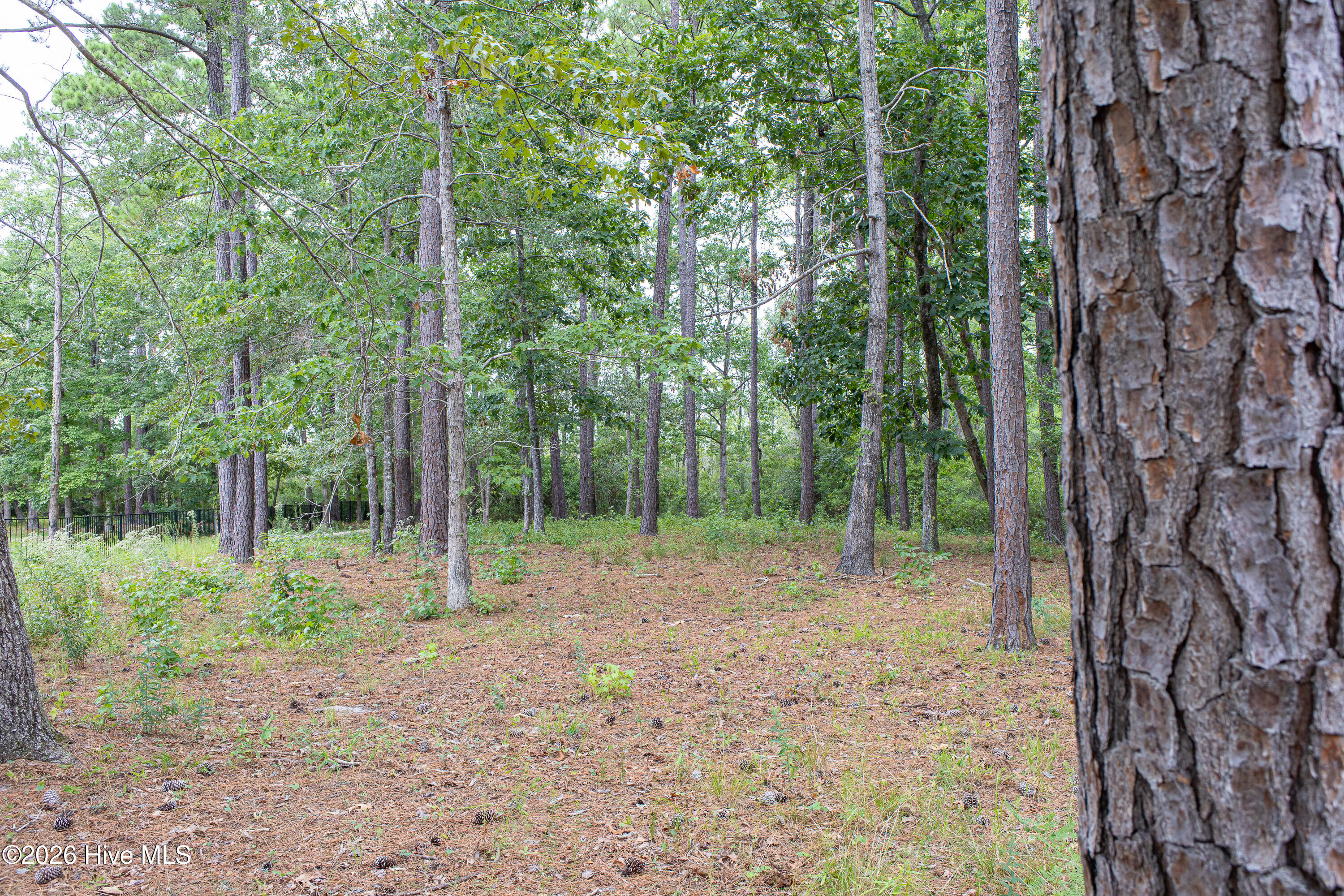 496 216 Hearthside Drive Se Property Photo 15