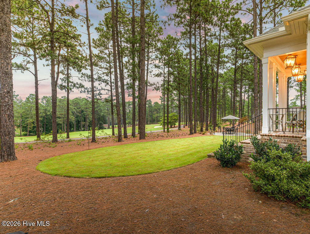 124 Chesterfield Drive Property Photo 43