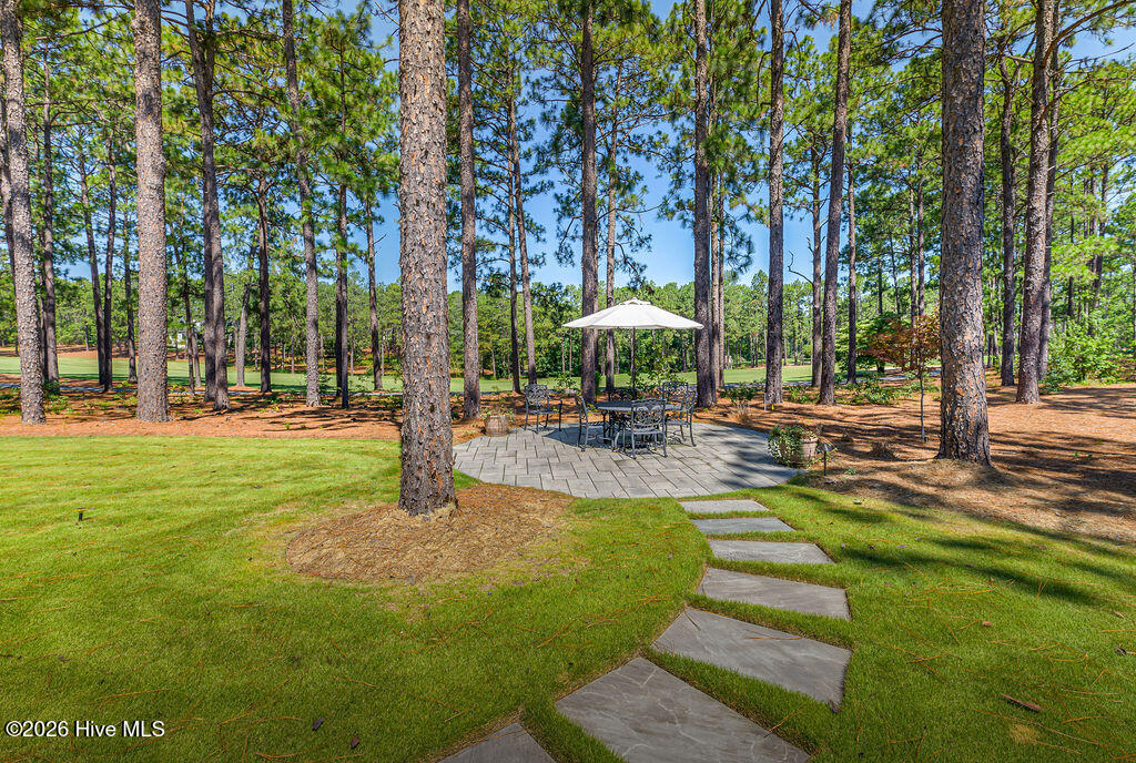 124 Chesterfield Drive Property Photo 46