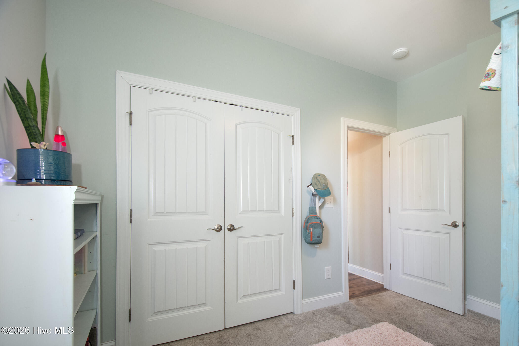 111 Finch Loop Property Photo 14