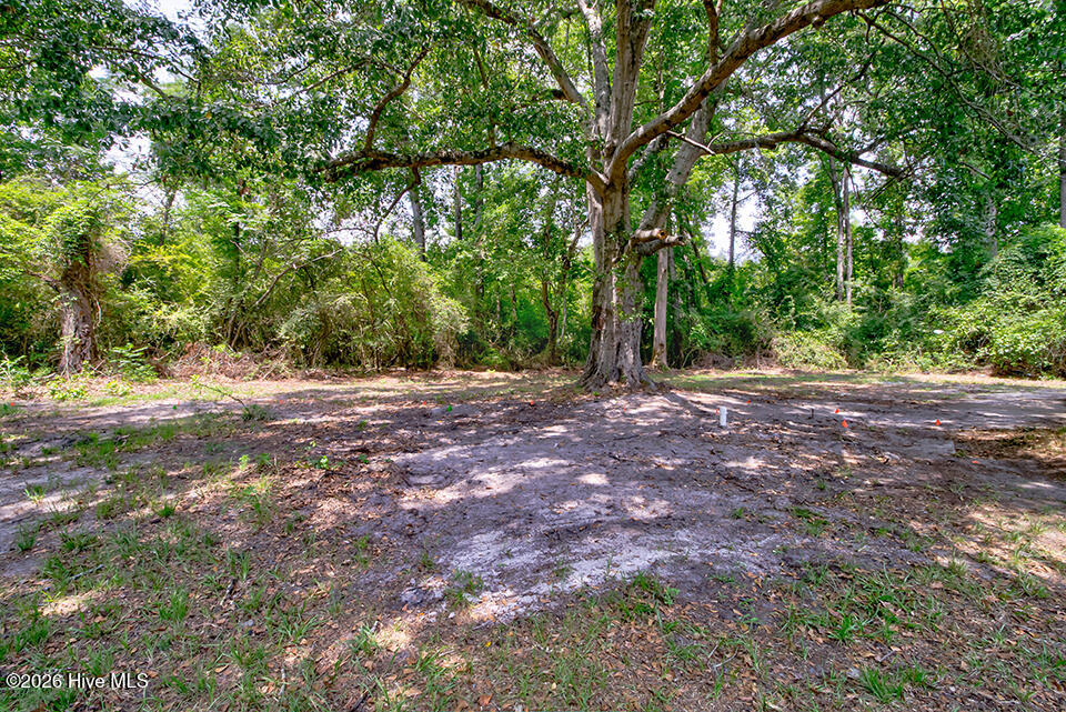 4238 Bell Williams Road Property Photo 24