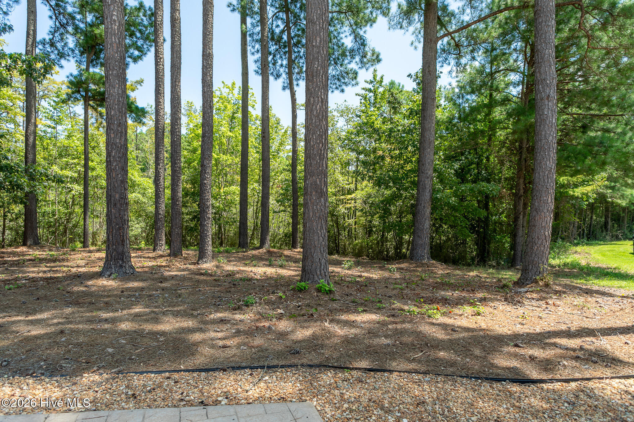 114 Robert Court Property Photo 8