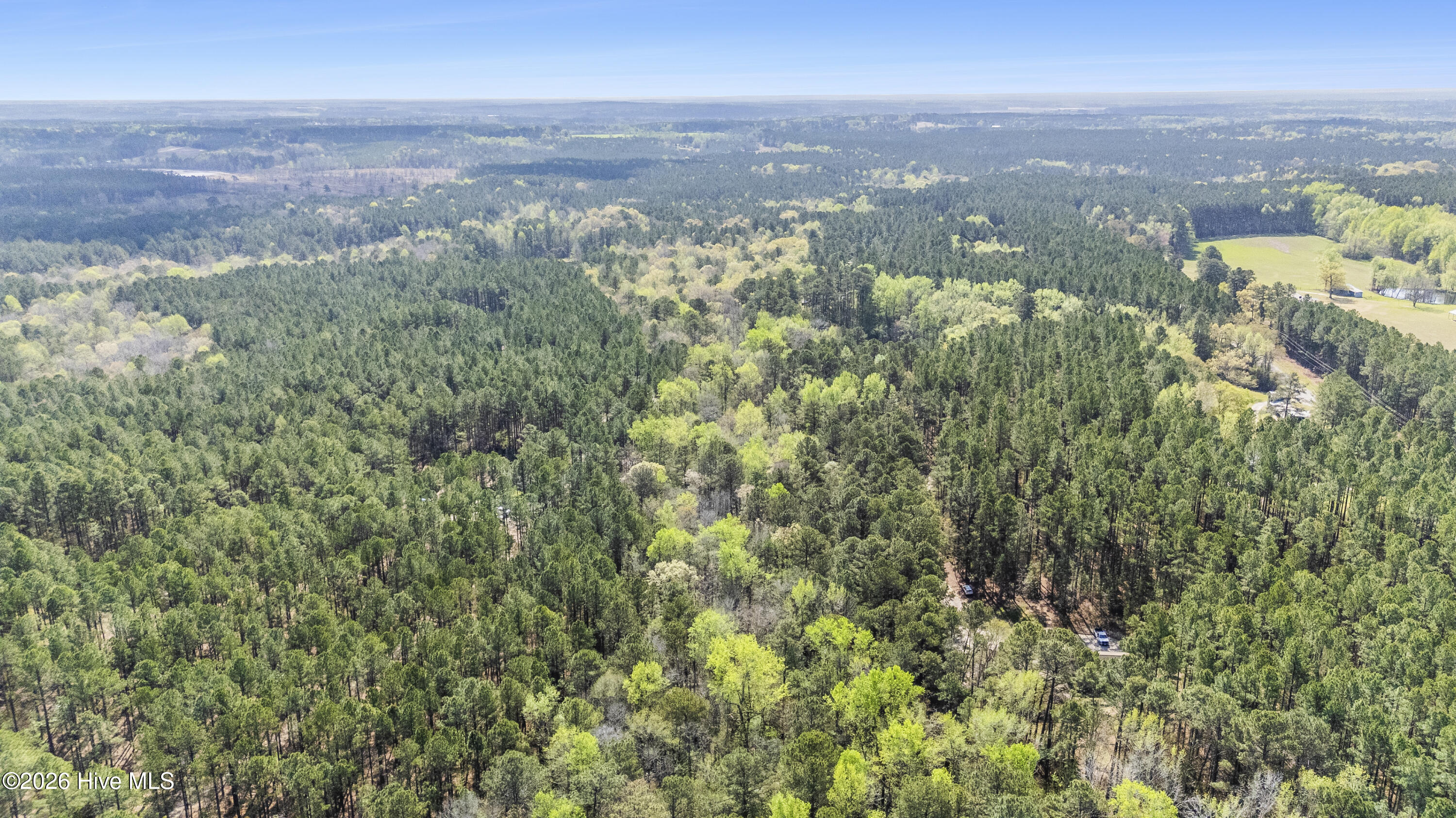 215 Cameron Camp Road Property Photo 1