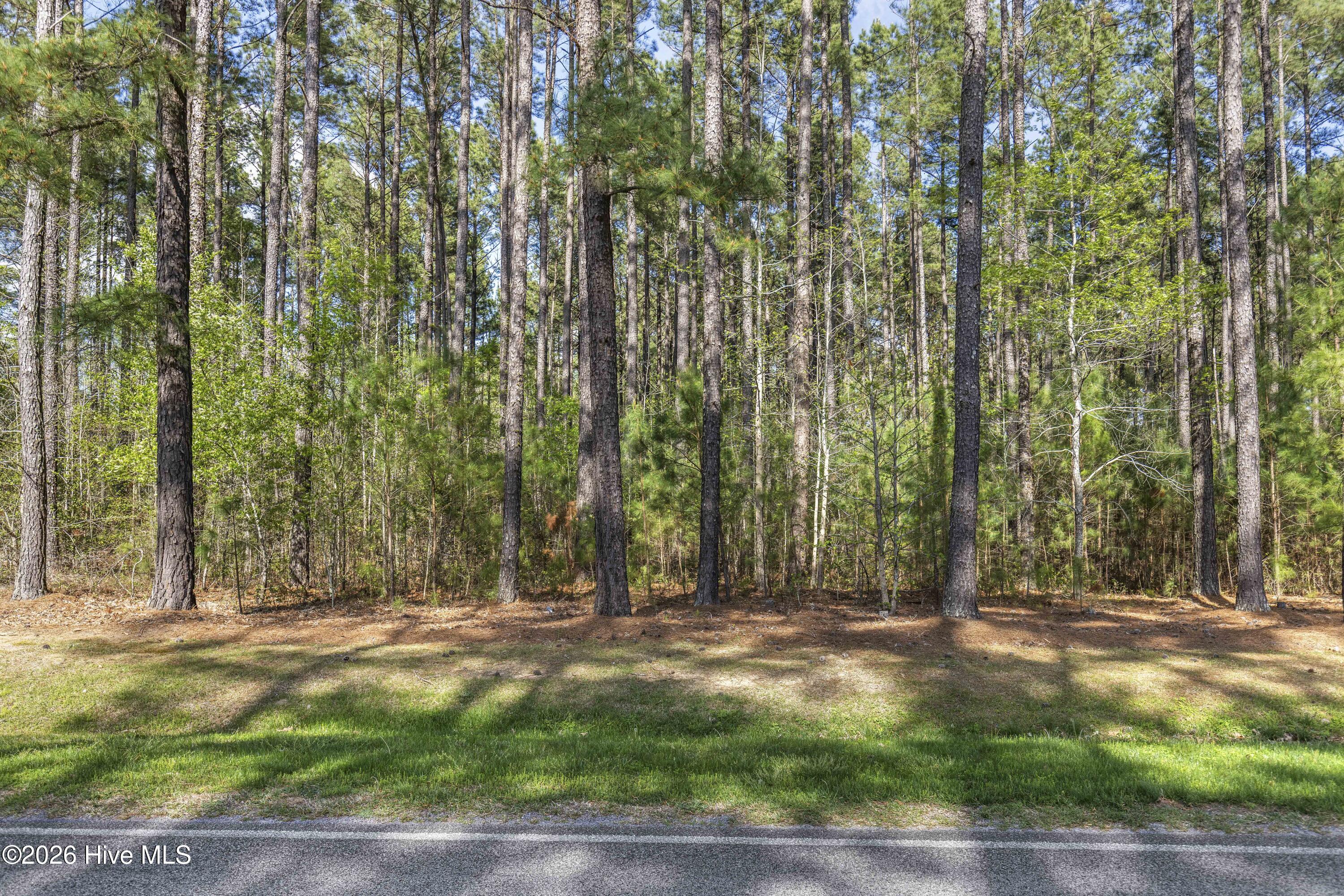 215 Cameron Camp Road Property Photo 5