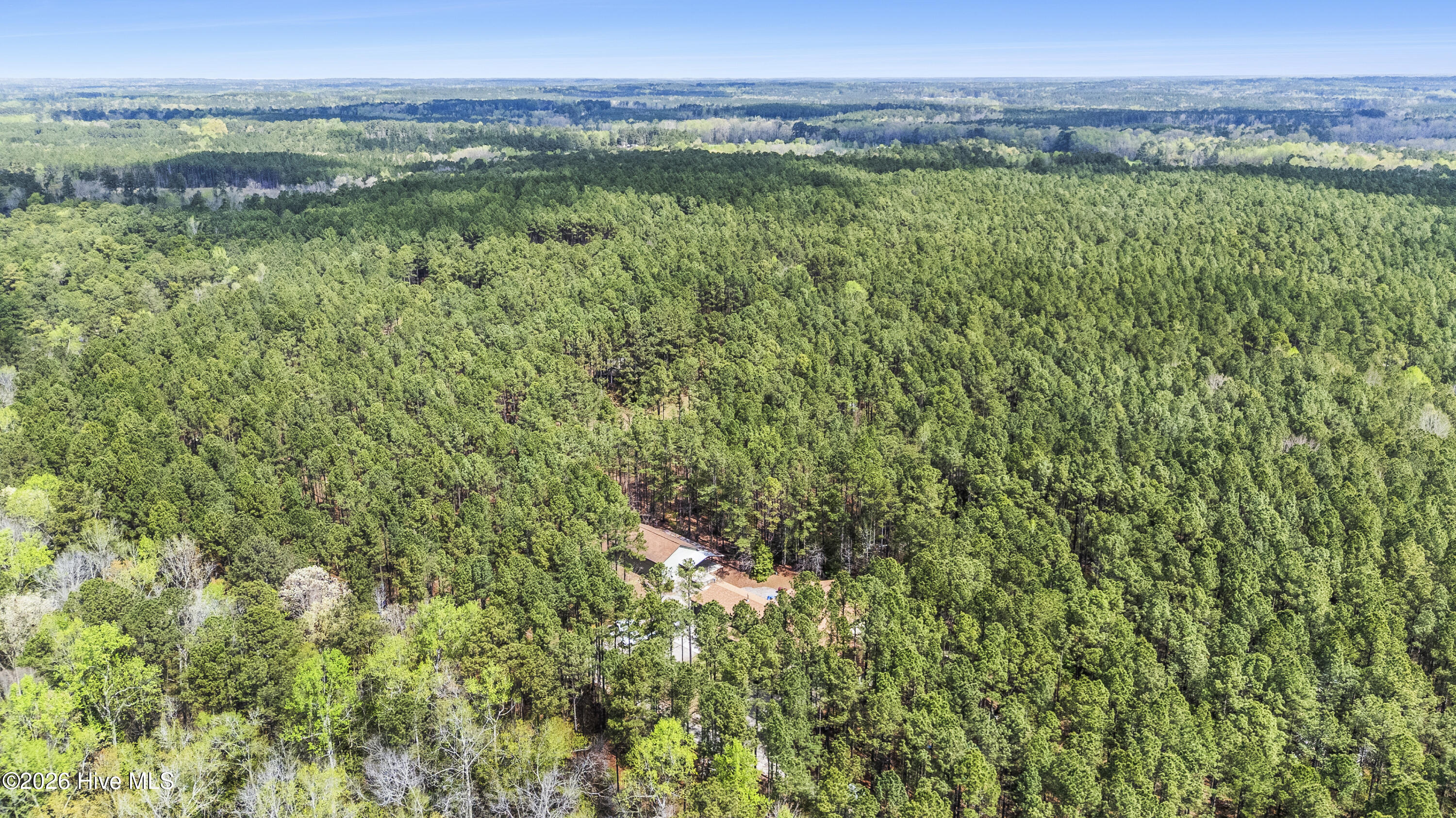 215 Cameron Camp Road Property Photo 19