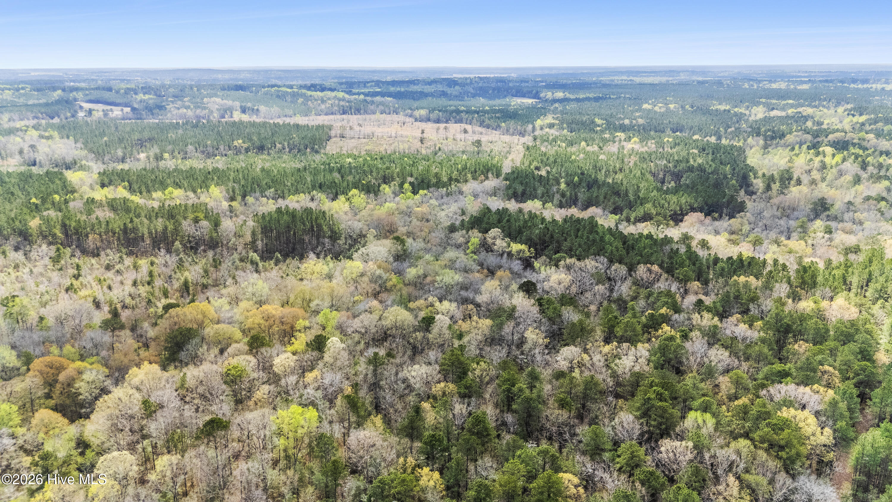 215 Cameron Camp Road Property Photo 23