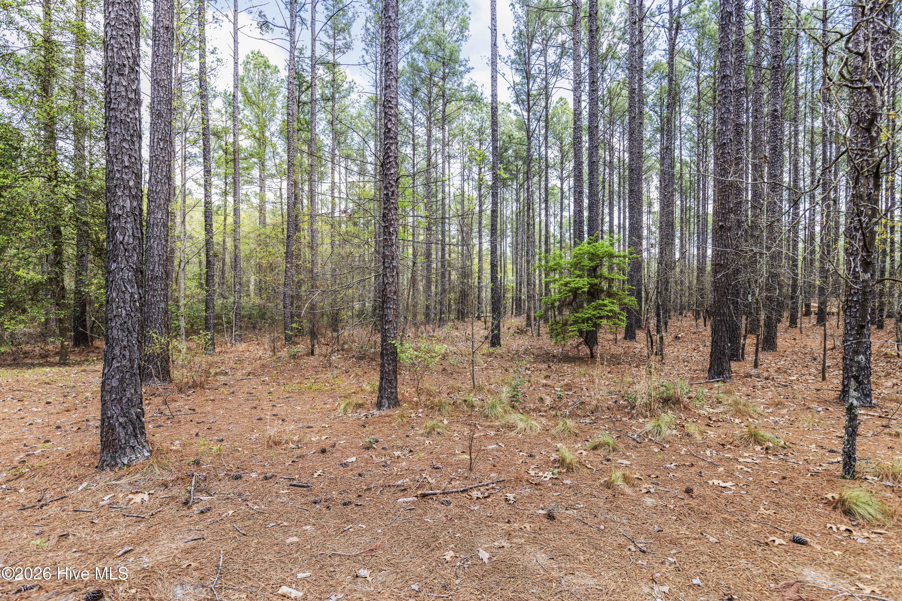 215 Cameron Camp Road Property Photo 53