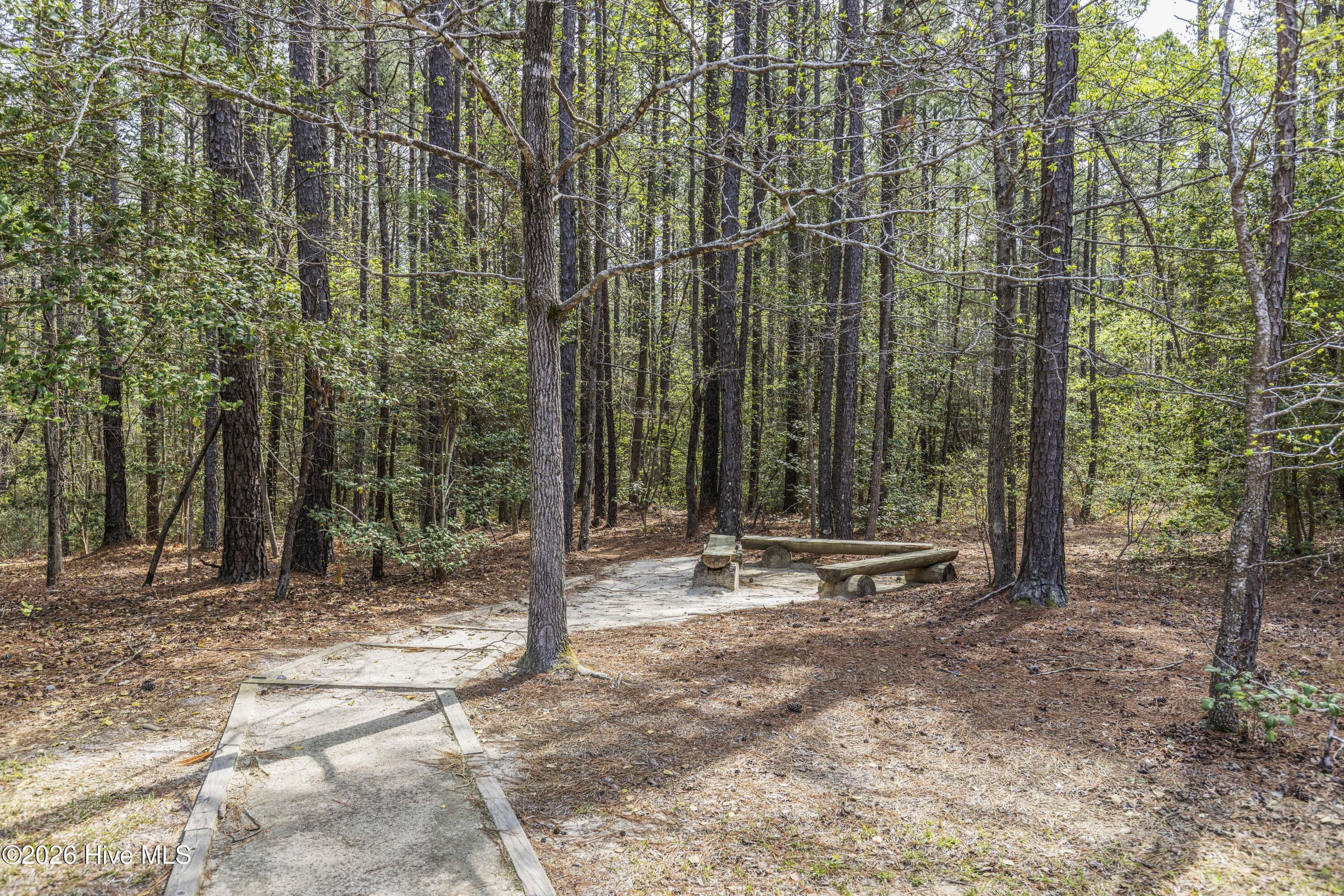 215 Cameron Camp Road Property Photo 55