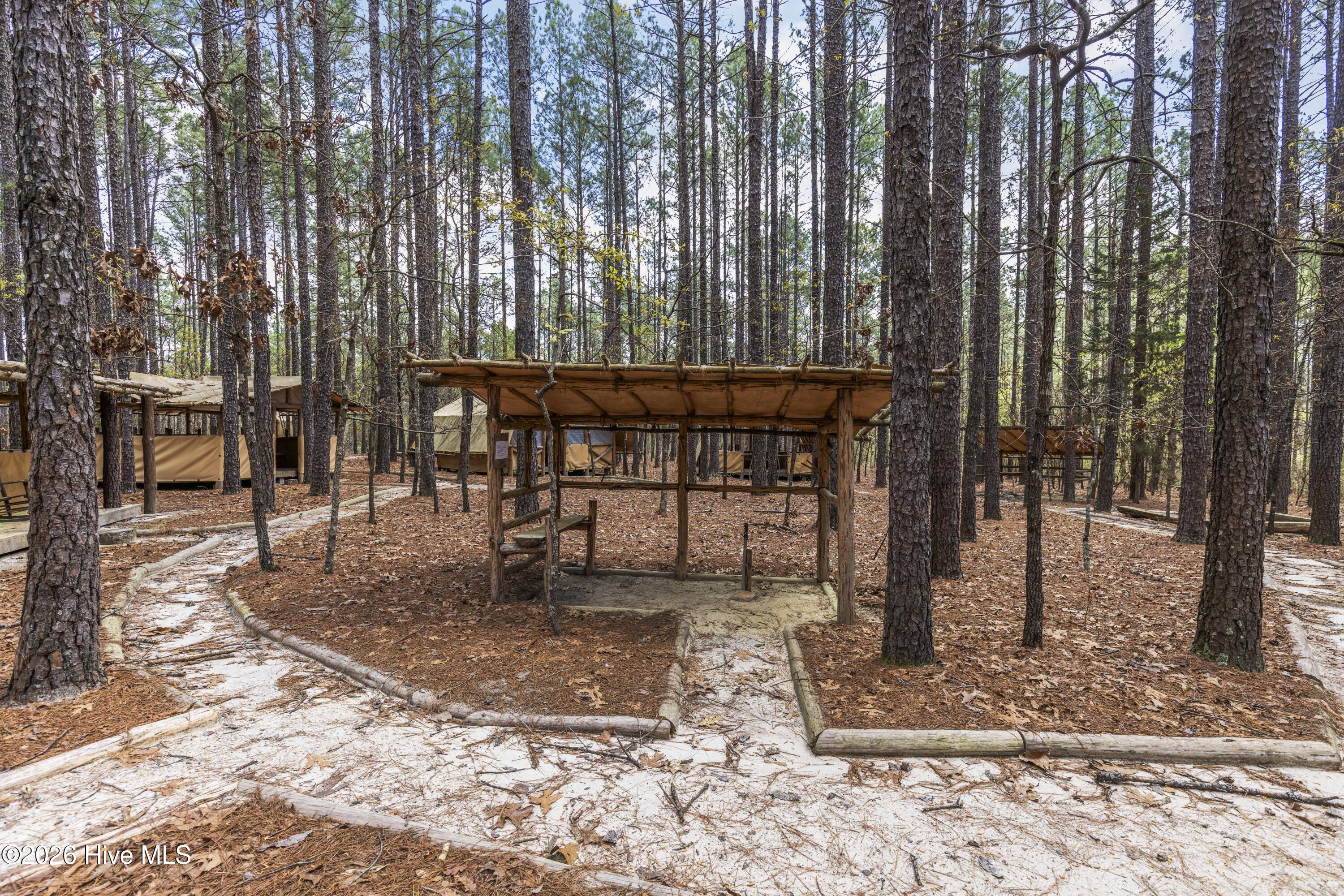 215 Cameron Camp Road Property Photo 59