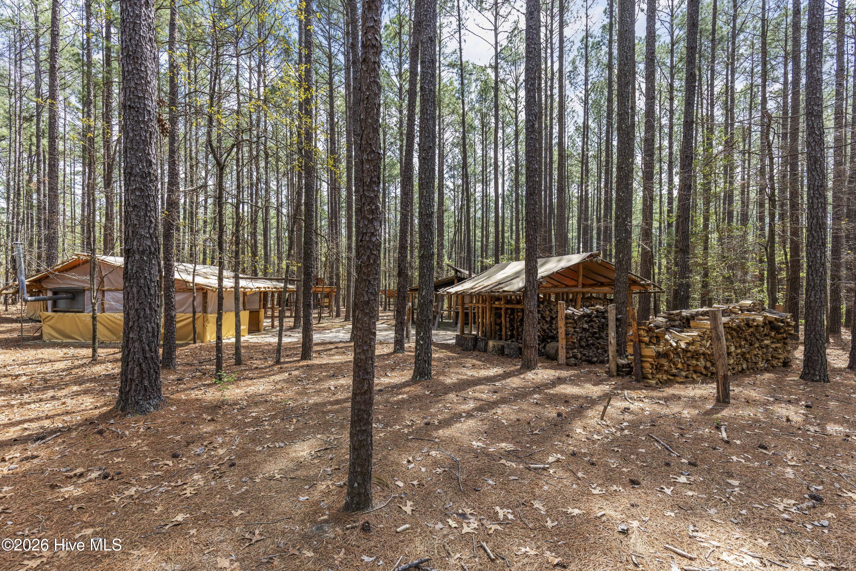 215 Cameron Camp Road Property Photo 64